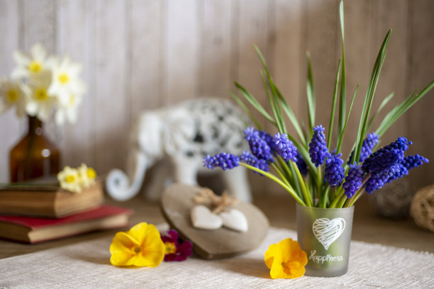 葡萄风信子花束与春天的花朵，装饰和心图片下载