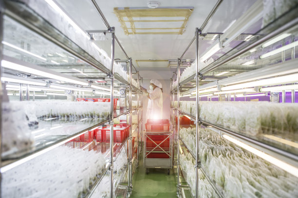 组织培养或植物培养图片下载