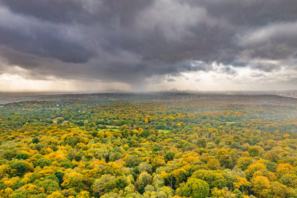 秋天的埃平森林，背景是伦敦的天际线。图片下载