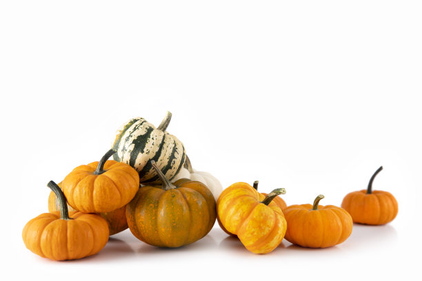 白色小南瓜图片下载