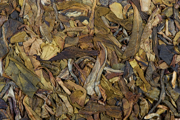 用普洱茶冲泡而成。前视图。图片下载