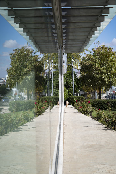 玻璃建筑立面在城市自然反映绿色的步道和树叶和灌木图片下载