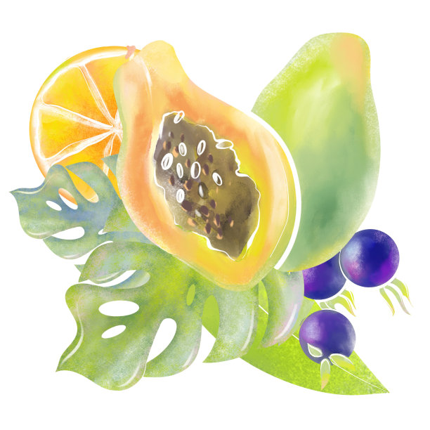 插图彩色植物拼贴热带水果和植物黄色木瓜和妖怪叶包装和印刷设计元素化妆品和营养水彩画风格图片下载
