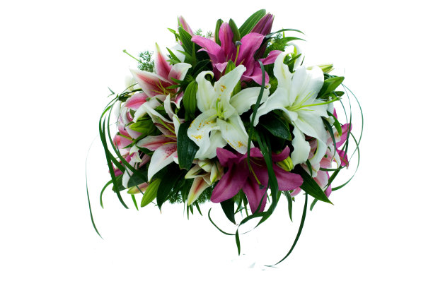 留白上的花瓶图片下载