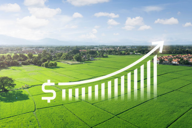 航拍图中的土地价值。图片下载