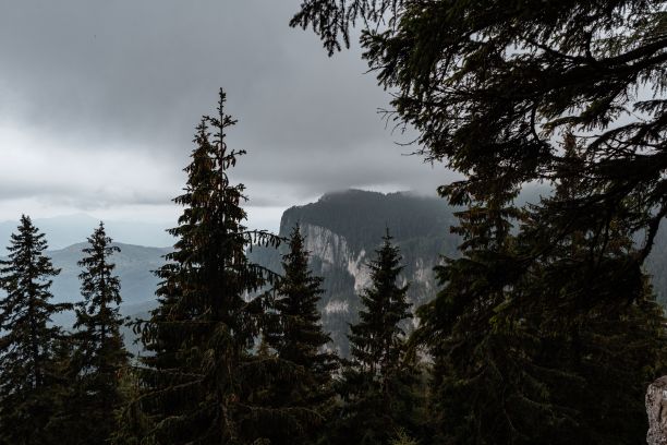 背景是悬崖的幽暗森林。罗马尼亚,Ceahlau山脉。图片下载