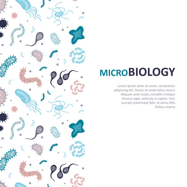 横幅上有各种细菌。微生物学，印有微生物和病原体的印制卡。医学背景,医疗保健。微观的生命，细菌，有趣的网络海报。图片下载
