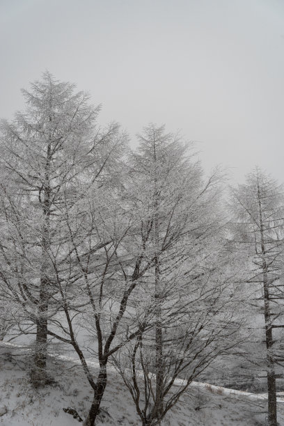雪的场景图片下载