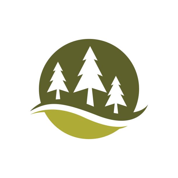 松树标志形象插画图片下载