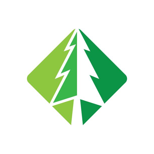 松树标志形象插画图片下载