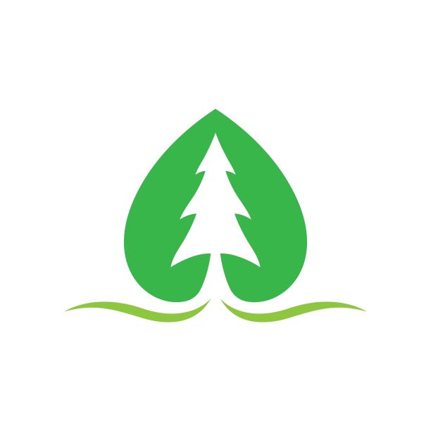 松树标志形象插画图片下载