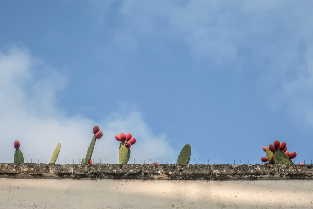 意大利普利亚，风景如画的奥斯图尼镇图片下载