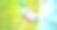 小女孩，小孩玩对讲机。带频道的对讲机。侦探，间谍的游戏。孩子们在远处说话，说信息。在森林、公园、远足与家长交流。找到失踪的人图片下载
