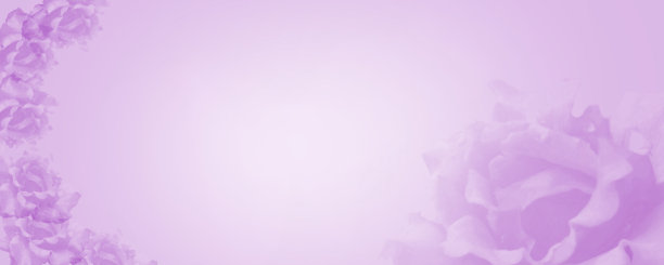 梦幻的紫色渐变背景与玫瑰花合并在一个柔和的彩色花组成。花卉边框和复制空间。模板的横幅图片下载