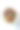 西红柿和牛肉沙拉图片下载