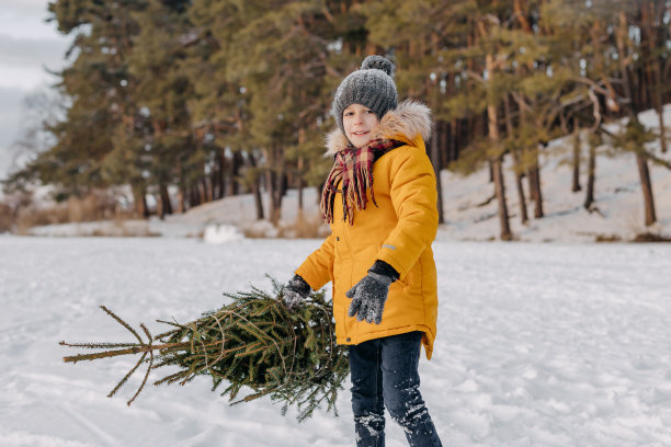 快乐的孩子手里拿着圣诞树，背景是雪林。圣诞树下的男孩。寒假、传统和庆祝活动的概念图片下载