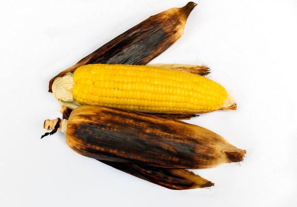 烧玉米，烤甜玉米图片下载