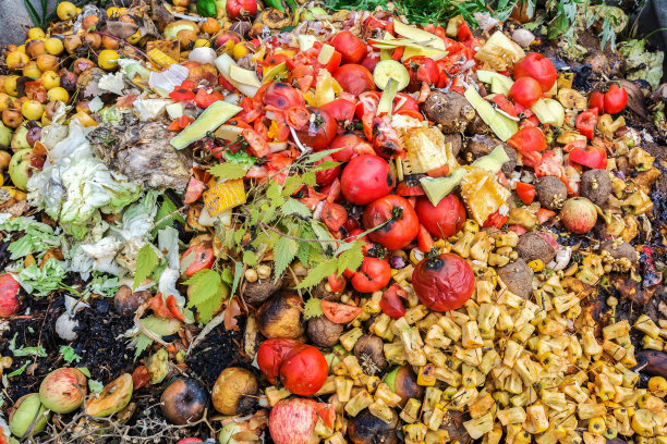 把蔬菜和水果的废料放在堆肥堆里作为菜园的肥料图片下载
