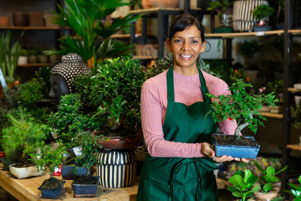拉丁裔美国女售货员和盆景树图片下载