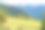 在格鲁吉亚斯瓦内蒂地区梅斯蒂亚镇的山间农场，一群马在草地上吃草图片下载