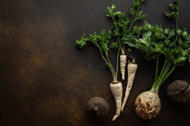 健康的秋季根茎图片下载