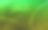 绿色渐变和堆叠，渐变，抽象波浪和曲线背景，现代，花式，横幅，模板，装饰，时尚，复制空间图片下载