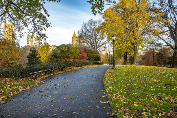 中央公园的秋天图片下载