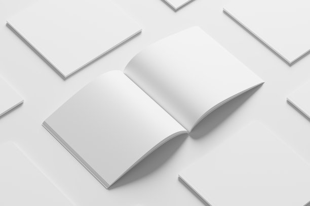 方形杂志宣传册3D渲染白空白模型图片下载
