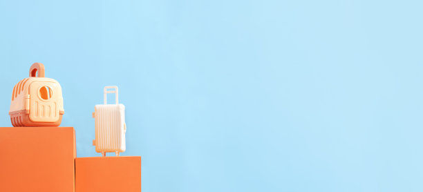 概念旅行或移动与动物，飞行，安全。灰色背景的塑料笼子，宠物箱。Copyspace,横幅图片下载