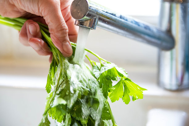 在家庭厨房的水龙头下清洗扁平的欧芹-图片图片下载