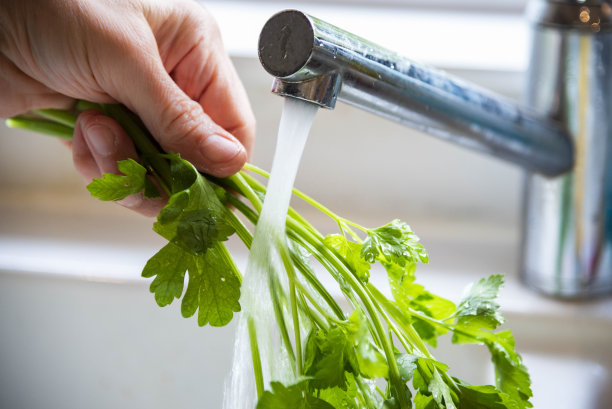 在家庭厨房的水龙头下清洗扁平的欧芹-图片图片下载