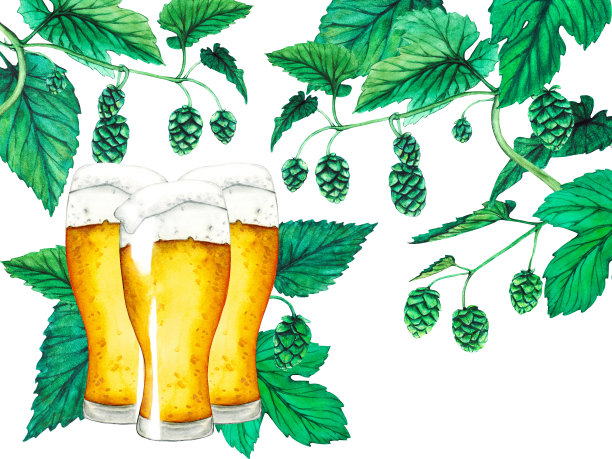 一杯啤酒，啤酒花和树叶。水彩啤酒集合图片下载