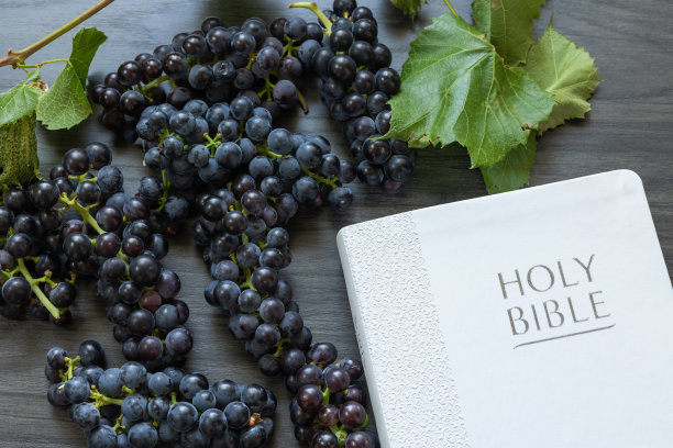 白色的圣经和紫色的葡萄在深色的木头上图片下载