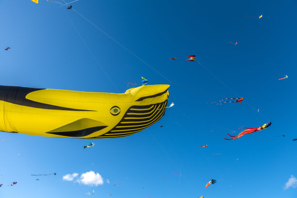 放风筝图片下载