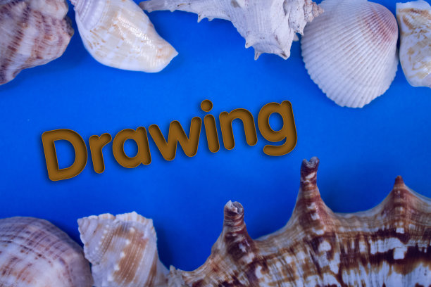 动物壳，暑假，海洋背景与绘图文本。图片下载