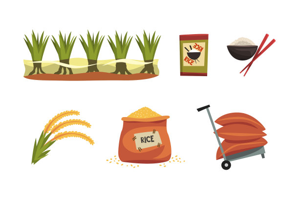 水稻生产设绿田袋和板图片下载
