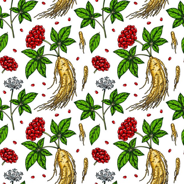 彩色手绘人参无缝图案。矢量插图素描风格。药用植物的背景。植物设计图片下载