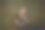画像年轻的女孩作为蒙娜丽莎的照片使用的是复古铁在黑暗的复古背景。复古风格，艺术，时尚，比较时代的概念。图片下载
