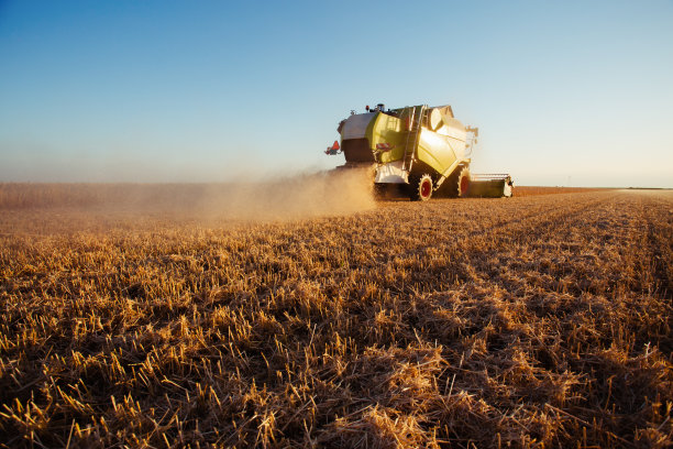 农用小麦金光联合收割机图片下载