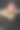 年轻的照片模特穿着内衣摆出艺术的姿势。图片下载