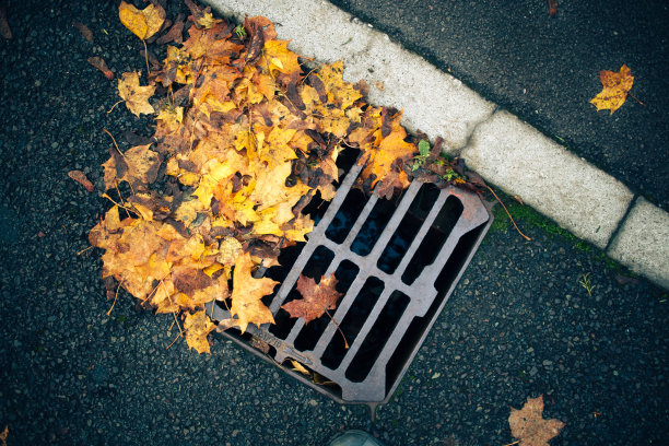 雨水渠部分被秋叶堵塞，可能导致当地道路和住宅水浸图片下载