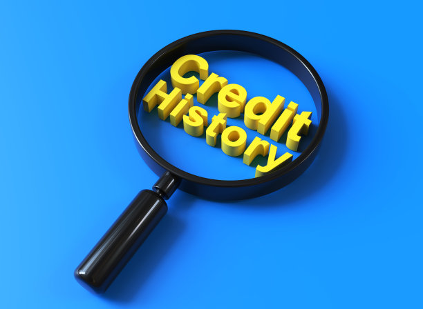 信用记录报告和评分图片下载