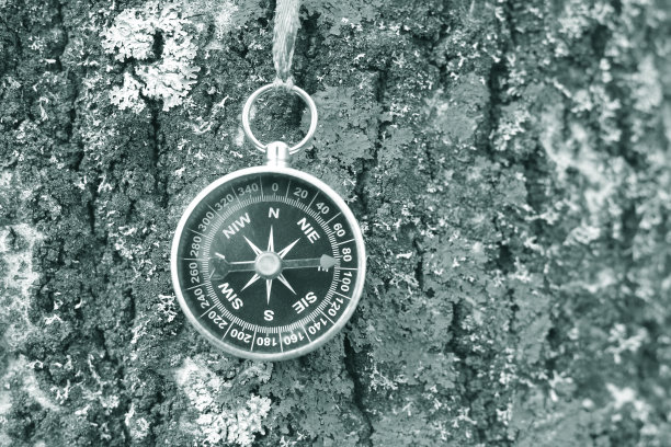 自然背景上的经典罗盘图片下载