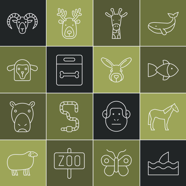 在海浪马鱼中设置鱼鳍线图片下载