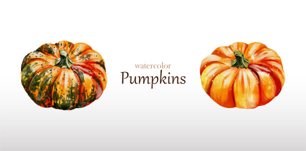 南瓜水彩矢量插画设计图片下载