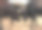 两只长着大角的公牛在干草地上搏斗的特写镜头图片下载