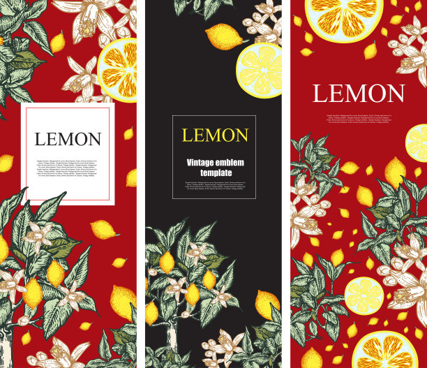 柠檬的果实，花和叶子。烹饪大师班，工作室，标志。图片下载