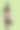完整的女性人体模型图片下载