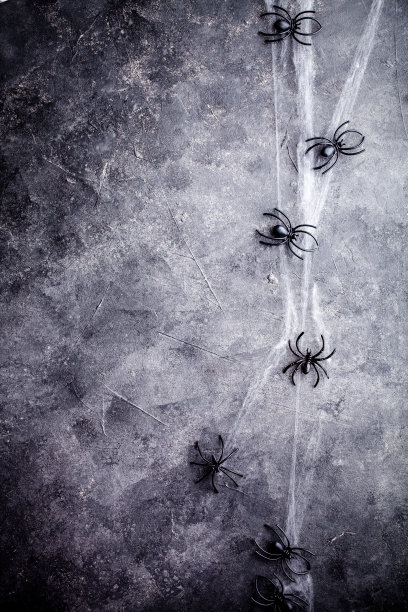 万圣节的背景图片下载