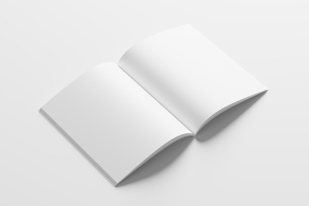 美国信件大小杂志宣传册3D渲染白色空白模型图片下载